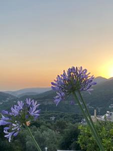 Vitos Parga View Apartments