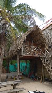 Atalaya Buceo Cari Blue