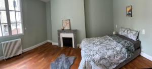 Grand appartement climatisé en plein centre de Bordeaux Place Fernand Lafargue