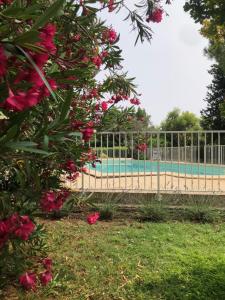 Maisons de vacances Gite 5 a 7 personnes en Provence dans grand jardin avec piscine partagee : photos des chambres