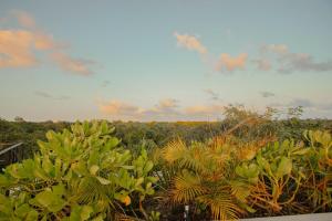 Niña Bonita Kukulkan road