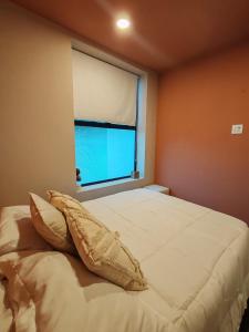 Horizonte 28 Escalante