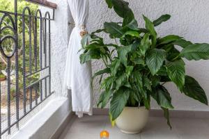 Holiday House la terrazza img29