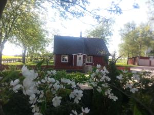 Hus på Lantgård Viken