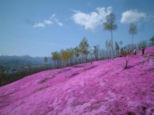 Hotel Okhotsk Palace - Vacation STAY 24143v