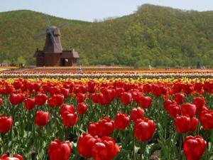 Hotel Okhotsk Palace - Vacation STAY 24147v