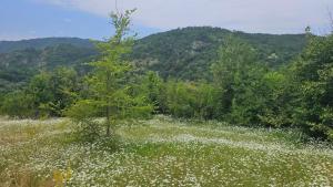 Apartmani Doksas Degurić