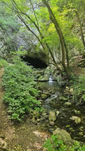 Apartmani Doksas Degurić