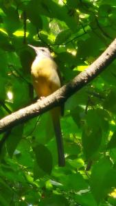 Apartmani Doksas Degurić