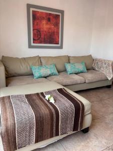 Soya departamentos 1