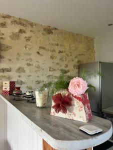 Appartements Maisonnette avec terrasse de la Bellue : photos des chambres