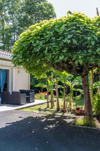 Maisons de vacances Jolie maison LE TEICH bassin Park/wifi : photos des chambres