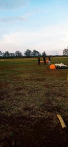 Paramotor Mestre do Ar