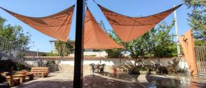 Il Ginepro del Campidano img13