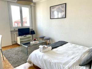 Beautiful studio 2 minutes from Lausanne Train Station