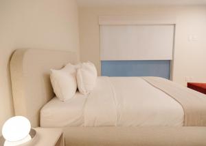 Condesa Authentic | 2BR 2BA