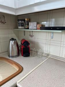 Entire villa with big garden and BBQ amenities