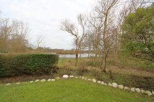 Entennest-am-Dorfteich