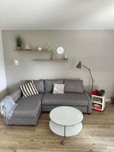 Entennest-am-Dorfteich