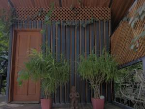 Cocolhu Treehouse & Ocean View