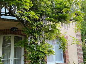 B&B / Chambres d'hotes Evasion Naturelle: Chambre d-Hotes Spacieuse avec Piscine et Confort a Montreuil-le-Henri - FR-1-410-446 : photos des chambres