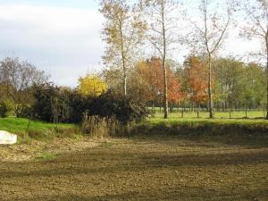Maisons de vacances Holiday Home in Gargas with Pool and Nature, cleaning included : photos des chambres