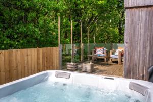 Mint Lodge 1BR with Hot Tub near Black Mountain