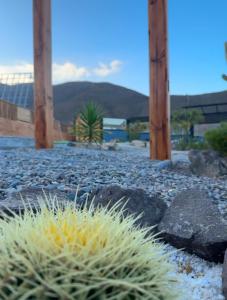 Las Alpinas del valle