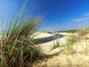 Maisons de vacances Holiday Home in La Teste with Pool & BBQ, cleaning included : photos des chambres