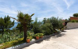 Amazing Apartment In Omis With Wifi