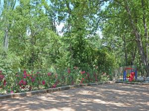 Villas Villa in Montauroux with Pool & Near Forest, cleaning included : photos des chambres