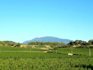Maisons de vacances Holiday Home near Mont Ventoux Pool, cleaning included : photos des chambres