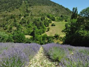 Villas Villa in Malaucene near Mont Ventoux, cleaning included : photos des chambres