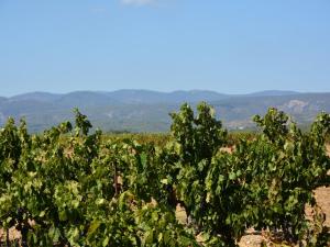 Villas Villa in Caunes-Minervois with Private Pool, cleaning included : photos des chambres