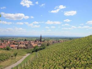 Appartements Apartment in Alsace near Europa-Park, cleaning included : photos des chambres