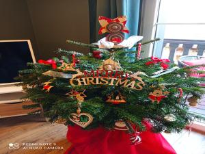 Appartements Apartment in Alsace near Europa-Park, cleaning included : photos des chambres