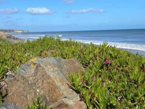 Appartements Normandy Coastal Retreat, cleaning included : photos des chambres