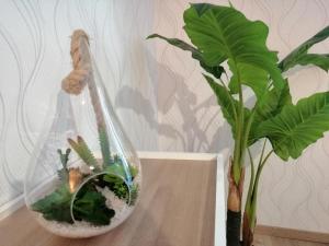 Appartements Normandy Coastal Retreat, cleaning included : photos des chambres