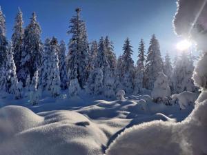 Villas Chalet in La Bresse near Ski Slopes, cleaning included : photos des chambres