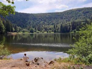 Villas Chalet in La Bresse near Ski Slopes, cleaning included : photos des chambres