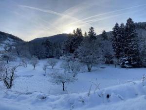 Villas Chalet in La Bresse near Ski Slopes, cleaning included : photos des chambres