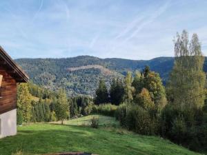 Villas Chalet in La Bresse near Ski Slopes, cleaning included : Villa 4 Chambres