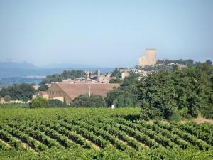 Villas Mansion in Provence with Pool & Near Town, cleaning included : photos des chambres