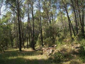 Maisons de vacances Holiday Home in Var with Private Pool, cleaning included : photos des chambres