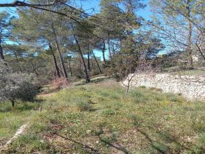 Maisons de vacances Holiday Home in Var with Private Pool, cleaning included : photos des chambres