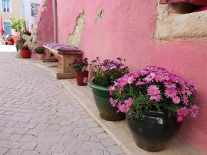 Villas Villa in Roquebrun with swimming pool, cleaning included : photos des chambres