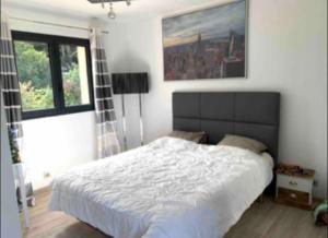 Manifique Villa de Antibes