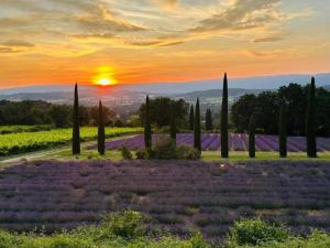 Villas Villa in Luberon with Saltwater Pool, cleaning included : photos des chambres