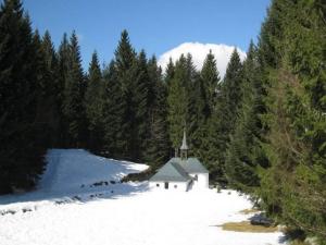 Chalets Chalet in Ventron near La Bresse Ski Area, cleaning included : photos des chambres