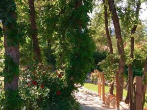 Villas Villa in Var with Hill Views & Pool, cleaning included : photos des chambres